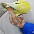 روز اليف مع الصغير والكبير