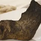 حجر غير معروف بآثار نبات قديمة جدا