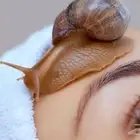 كوفيره بجده