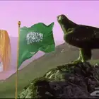 مصمم شيلات احترافي و مصمم فيديوهات