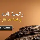 تصميم متجر في سلة وزد تصميم متجر الكتروني