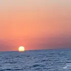 مرس الرايس