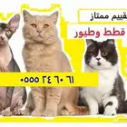 فندقة قطط وطيور - مخرج 5 - وقت إجازتكم
