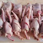 سمان جامبو مشحم طازج