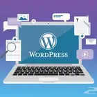 تصميم و برمجة موقع-متجر اليكترونى wordpress
