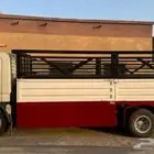 دينا لنقل