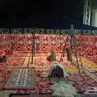 تأجير خيم
