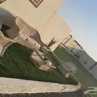 استراحة للاجار السنوي
