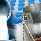 حليب بقر طازج يوجد توصيل الرياض