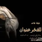 استديو شيلات بالاسماء _ استديو تسجيل شيلات