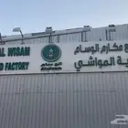 حروف استيل ذهبي حروف بارزة مضيئة تركيب وفك اللوحات