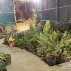 منسق حدائق مع الزراعه وشبكات الري