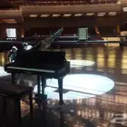 مدرس بيانو واورج وأصوات محترف piano tutor