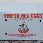 كراتين بيض فاضيه وشطرطون ورول ورق لتغليف