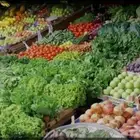 توريد خضار وفواكه سعر جملة