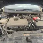 مكينه تورس 2023-2024