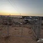 ورشة حدادة واللمنيوم - تصنيع درف وشبوك غنم  ابل  خيول