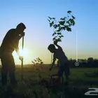 مصمم فيديوهات ومصمم شيلات