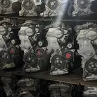مكائن سيارات