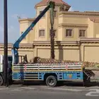 مشتل الجزيرة نخل واشنطن أمريكي للبيع