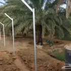 نقوم بتركيب الشبوك بجميع انواعها شبوك المزارع السياج الأمني