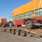 لوبد موجود في الدمام حسا جبيل علا تجاه