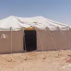 تأجير مخيمات مزين الابل في مهرجان الملك عبدالعزيز