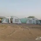 عنابر بيوت مجمية للدواجن