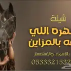 منشد شيلات وشاعر جزل