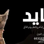 منشد شيللت شاعر جزل