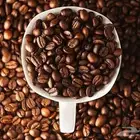 ابغى موردي قهوة اثيويبي وكولومبي ضروري