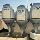 ضبا