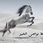 مربط (نواصي الخير) إيواء الخيل.