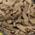 عود طيب