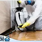 أدوات مكافحة الصراصير البق بالمدينة المنورة