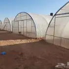 بيوت محمية للإيجار