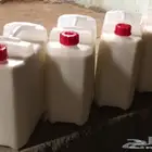 حليب أبقار طبيعي وبدون مواد حافظة