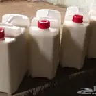 حليب بقر طبيعي ونظيف
