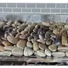 حجر مظبي طبيعي للحم والدجاج مرخ و سلع