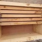 عيدان نحل خلايا نحل منحل نحل بلدي عسل سدر
