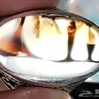 خاتم مصور لفظ الجلاله