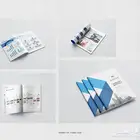 مصمم بروفايلات شركات