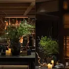 تصميم ديكور مطعم فاخر خمس نجوم
