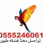 فندقة طيور وقطط وقت سفركم 6061 24 0555 شاهد التقييمات