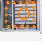 فقاسة المطور نظام القريه مقاس 528 بي 3مرواح