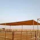 مضلات ابل ثابته ومتحركه تور الجزيره 95