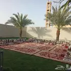 تاجير جلسات ارضيه كراسي ملكي كراسي أحمر كراسي VIP قهوجيين