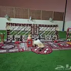 تأجير جلسات شعبيه تأجير طاولات طعام تأجير كراسي قهوجين