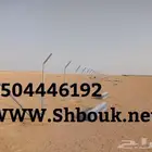 شبوك مزارع القصيم