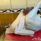 ديك رومي ذبح طازج